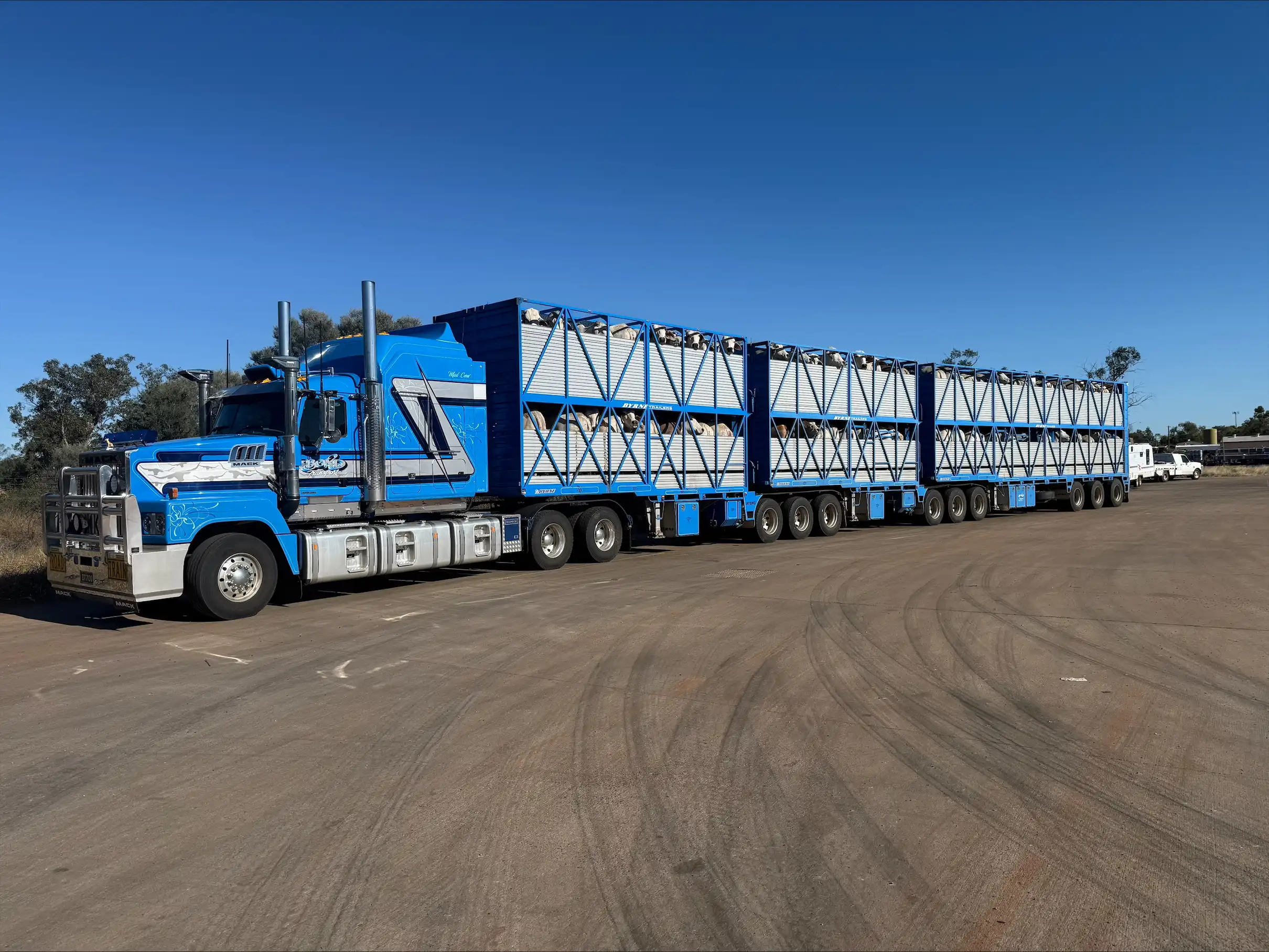 processed-67318C6F-0BA2-4F11-A081-C9EFC8F8E863